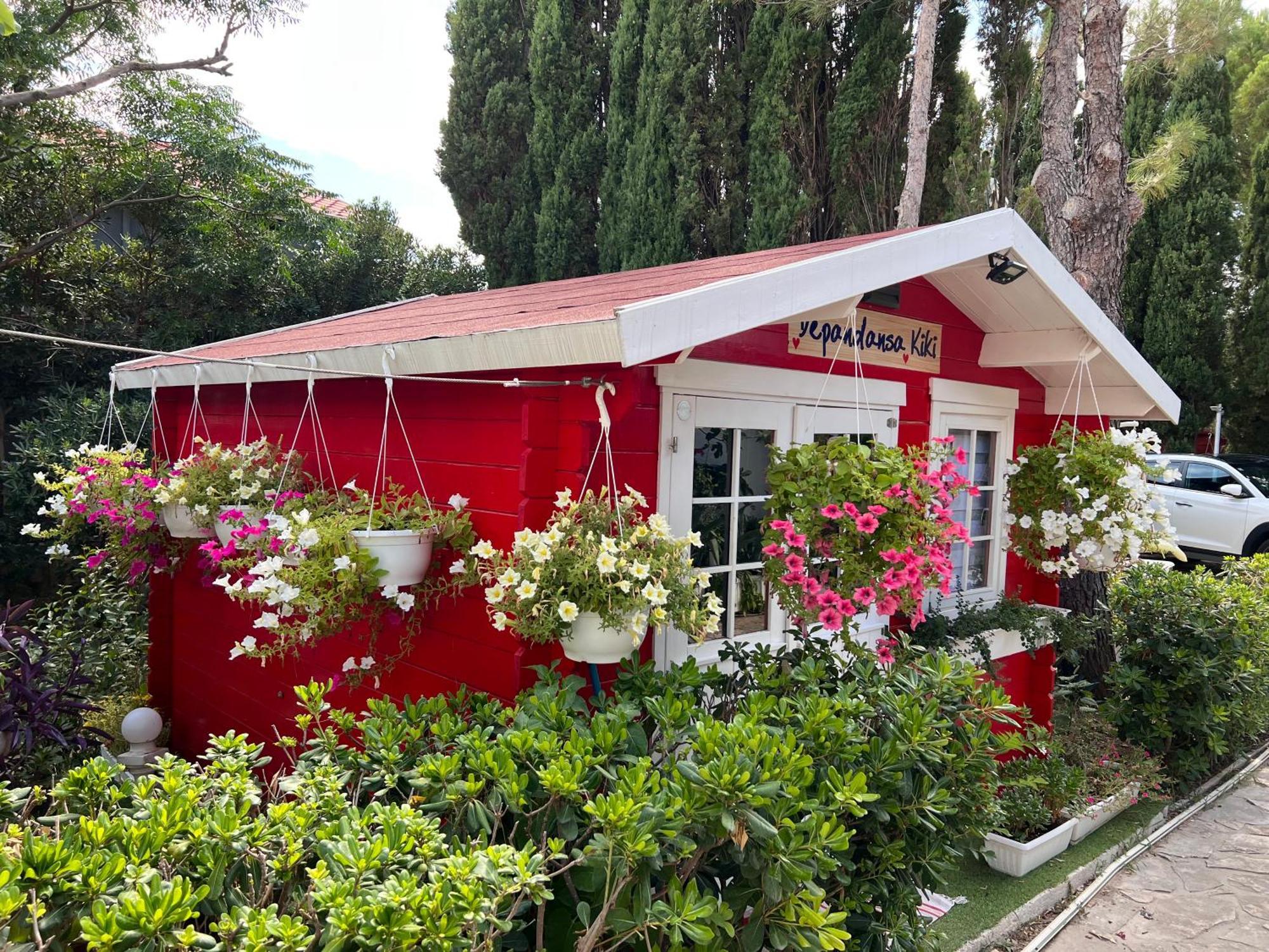 Apartments And Bungalows Vila Dalibor Nin Εξωτερικό φωτογραφία